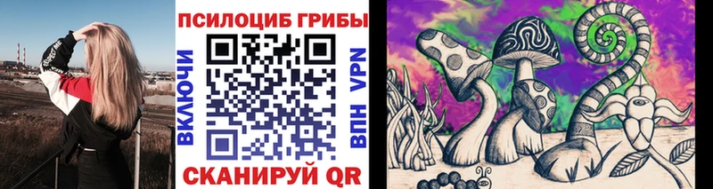 Псилоцибиновые грибы мицелий Купить Зима