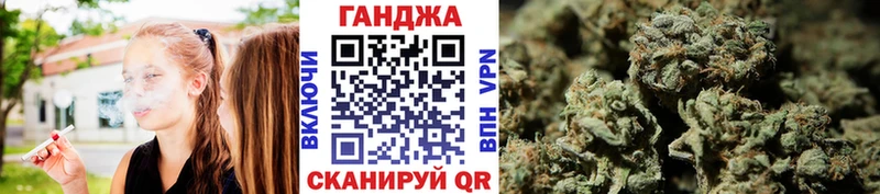 Купить где  Зима  Марихуана индика 